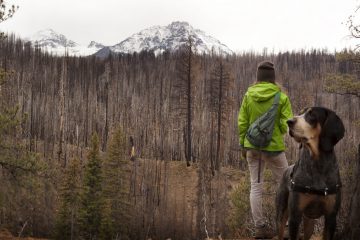 Rear View Of Woman Standing With Dog On Field At Forest