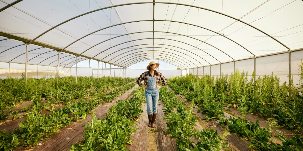 Farmer, greenhouse and happy agriculture woman in eco friendly business for environmental health. C.