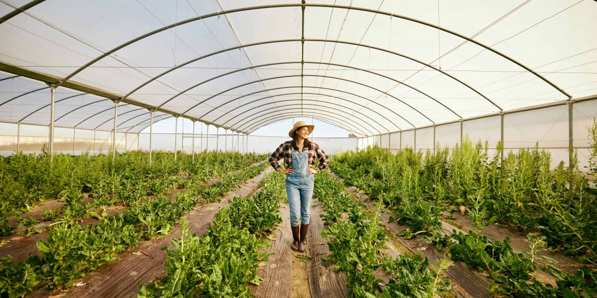 Farmer, greenhouse and happy agriculture woman in eco friendly business for environmental health. C.